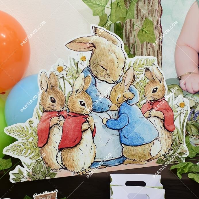 Peter Rabbit Doğum Günü 40x50 cm Dekor Pano