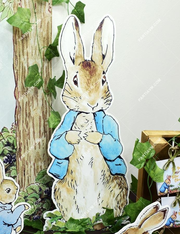 Peter Rabbit Doğum Günü 68 cm Peter Rabbit Dekor Pano