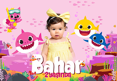 Baby Shark Kız Doğum Günü