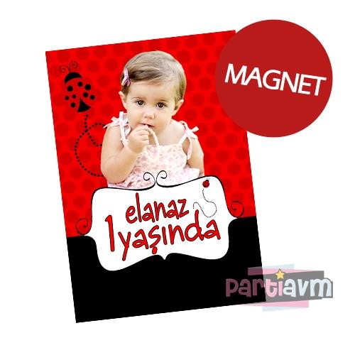 Kırmızı Uğur Böceği Doğum Günü Süsleri Hediyelik Magnet Kurdeleli Poşetinde 7X10 cm  