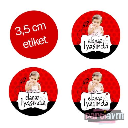 Kırmızı Uğur Böceği Doğum Günü Süsleri Yuvarlak Etiket 3,5cm 15 Adet