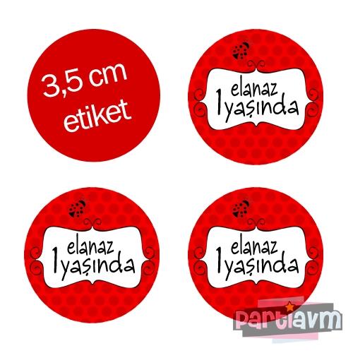 Kırmızı Uğur Böceği Doğum Günü Süsleri Yuvarlak Etiket 3,5cm 15 Adet