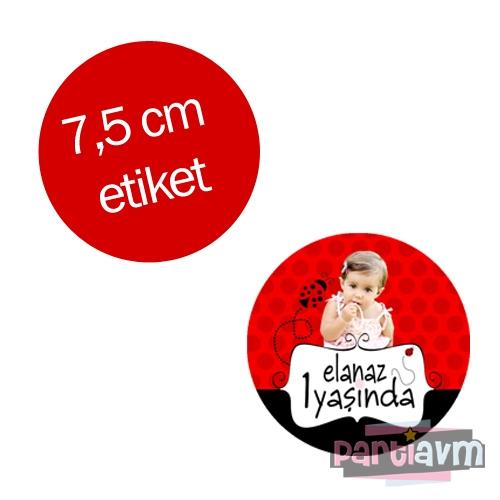 Kırmızı Uğur Böceği Doğum Günü Süsleri Yuvarlak Etiket 7,5cm 10 Adet