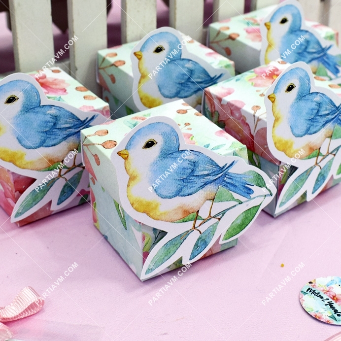 Küçük Kuş Doğum Günü Karakterli Karton Kutu