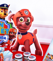 Partiavm Paw Patrol Doğum Günü Süsleri 30cm Ayaklı Karakter Dekor Pano