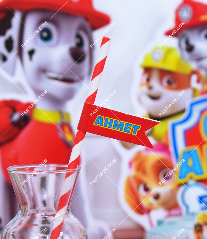 Paw Patrol Doğum Günü Süsleri Kağıt Pipet Etiketli 12 Adet