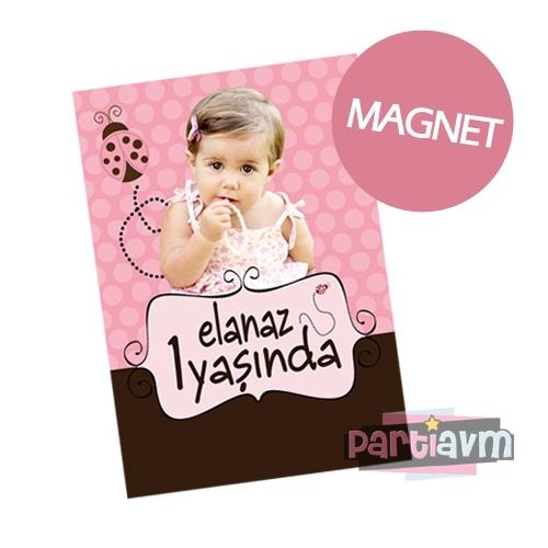 Pembe Uğur Böceği Doğum Günü Süsleri Hediyelik Magnet Kurdeleli Poşetinde 7X10 cm  