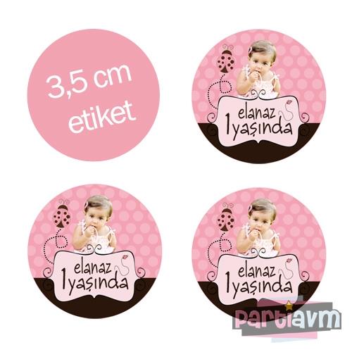 Pembe Uğur Böceği Doğum Günü Süsleri Yuvarlak Etiket 3,5cm 15 Adet