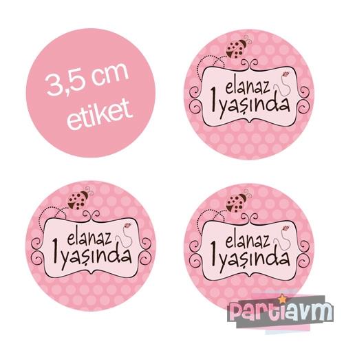 Pembe Uğur Böceği Doğum Günü Süsleri Yuvarlak Etiket 3,5cm 15 Adet