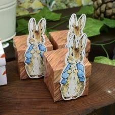 Partiavm Peter Rabbit Doğum Günü Karakterli Karton Kutu