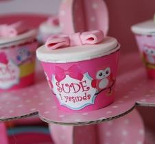 Partiavm Sevimli Baykuş Doğum Günü Süsleri Cupcake Sargısı 10 Adet satın al